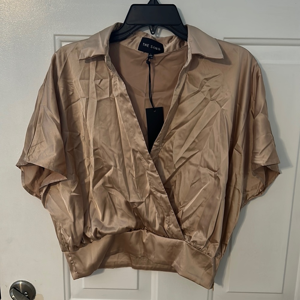 Silk v-neck crop top. NWT. NEVER WORN!